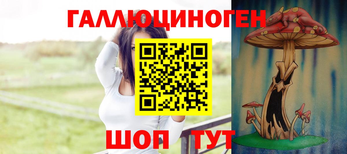 Ковров  Галлюциногенные грибы Psilocybe  Вход с VPN 